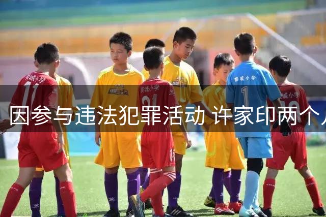 因参与违法犯罪活动 许家印两个儿子一审被判有期徒刑