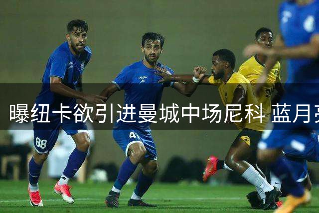 曝纽卡欲引进曼城中场尼科 蓝月亮或套现引援