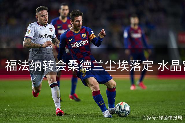 福法纳转会桑德兰尘埃落定 水晶宫竞价未能如愿