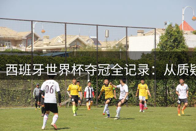 西班牙世界杯夺冠全记录：从质疑到荣耀的逆袭之路